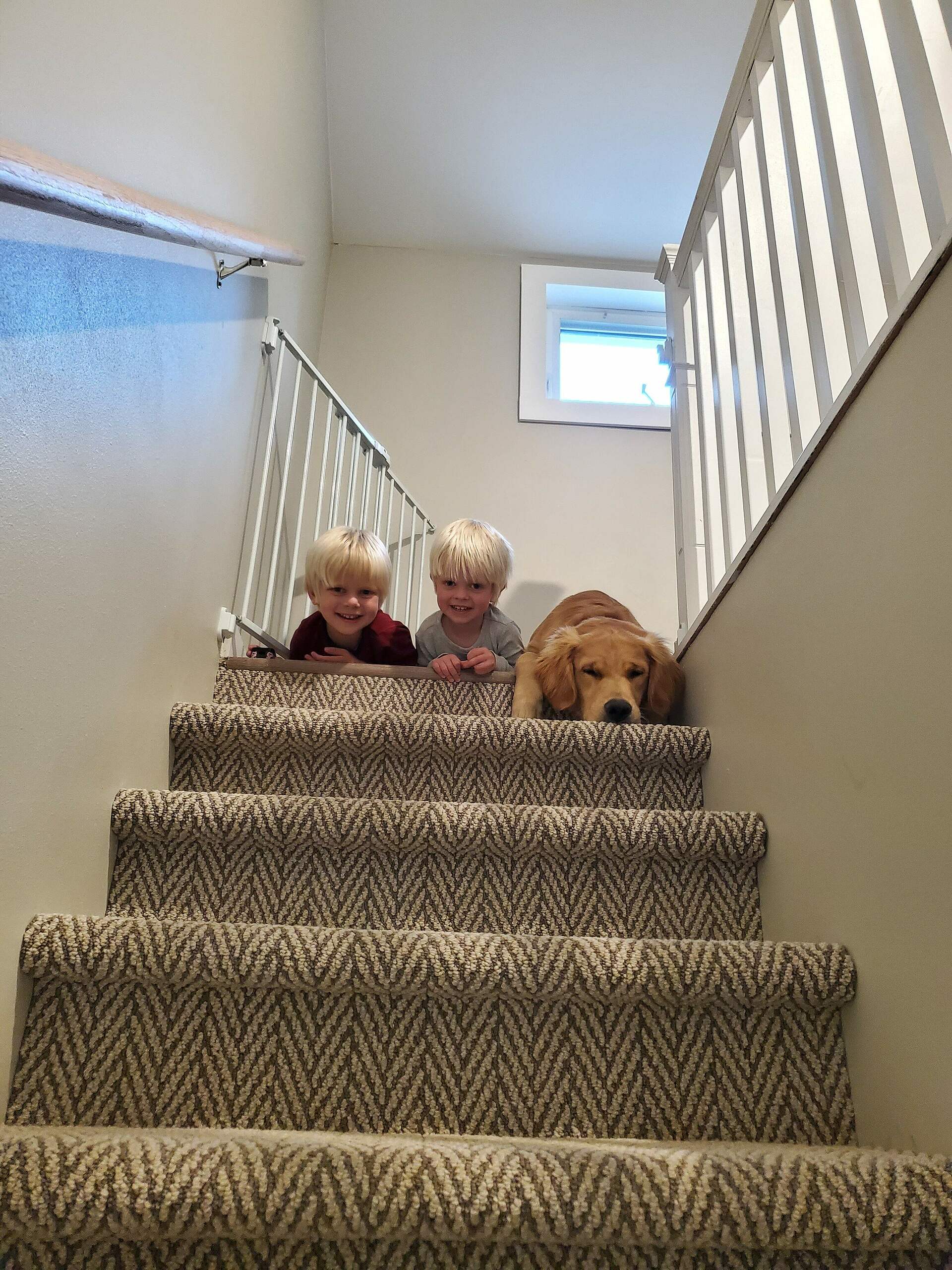 Two cheerful children and their loyal golden retriever companion pause for a cute moment on the pet-friendly floors of the stairway.