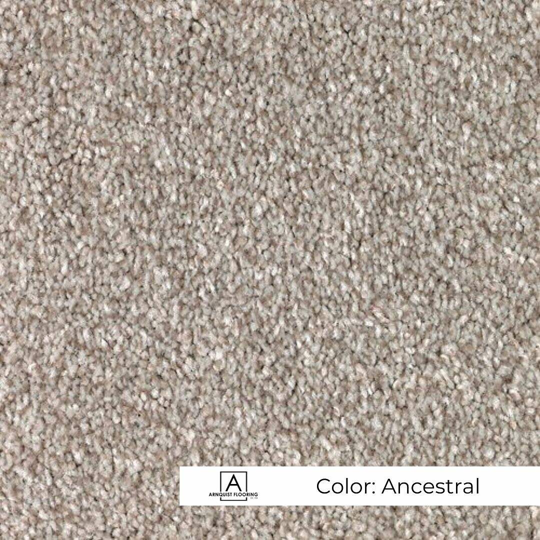 Close-up view of a textured carpet in a neutral 'genealogy' color.
