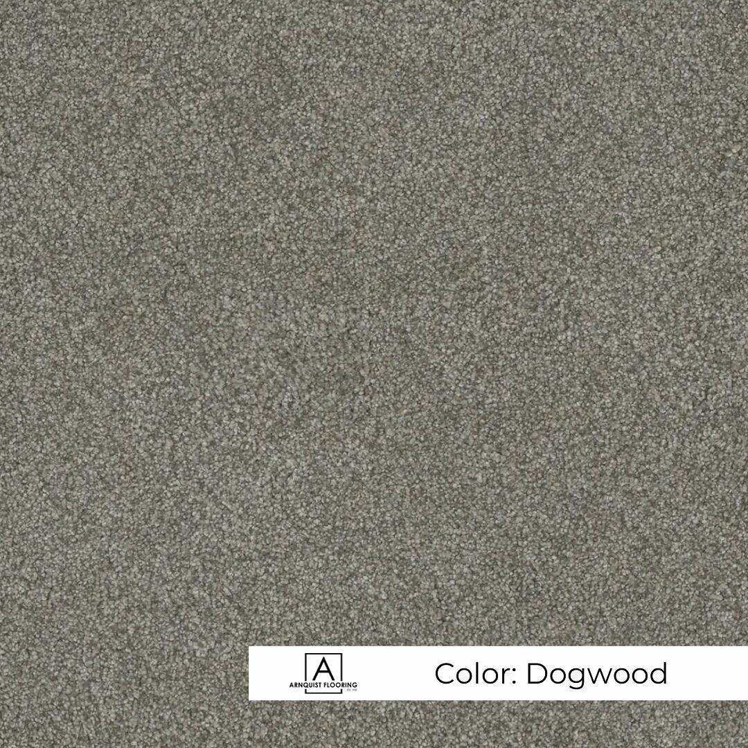 A sample image of a textured carpet flooring in a color named dogwood, with a label indicating the dogwood color at the bottom right corner.