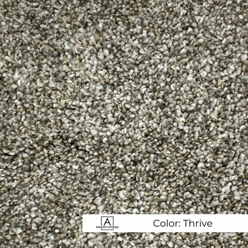 Close-up view of a textured carpet with a speckled combination of neutral tones, labeled with the color "Creed-Genesis.