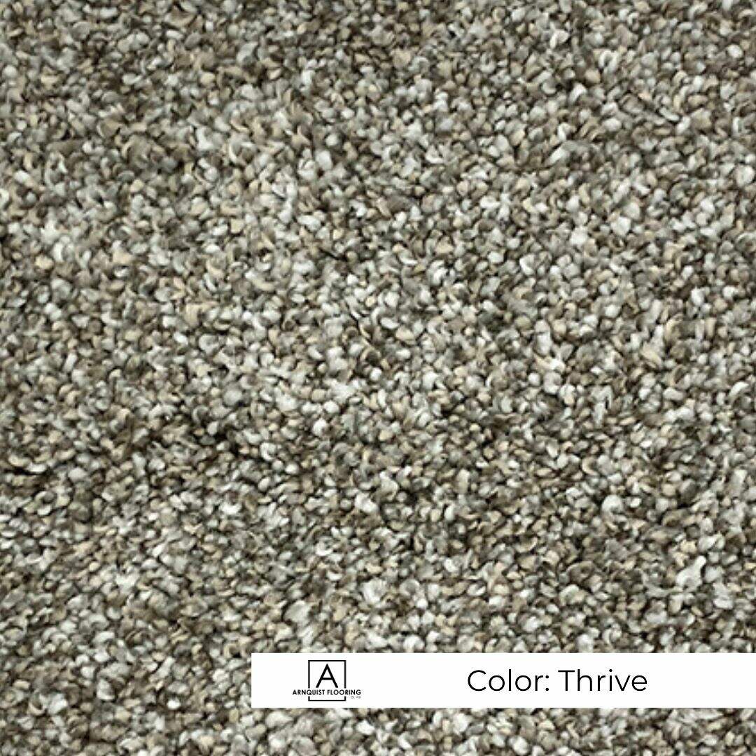 Close-up view of a textured carpet with a speckled combination of neutral tones, labeled with the color 