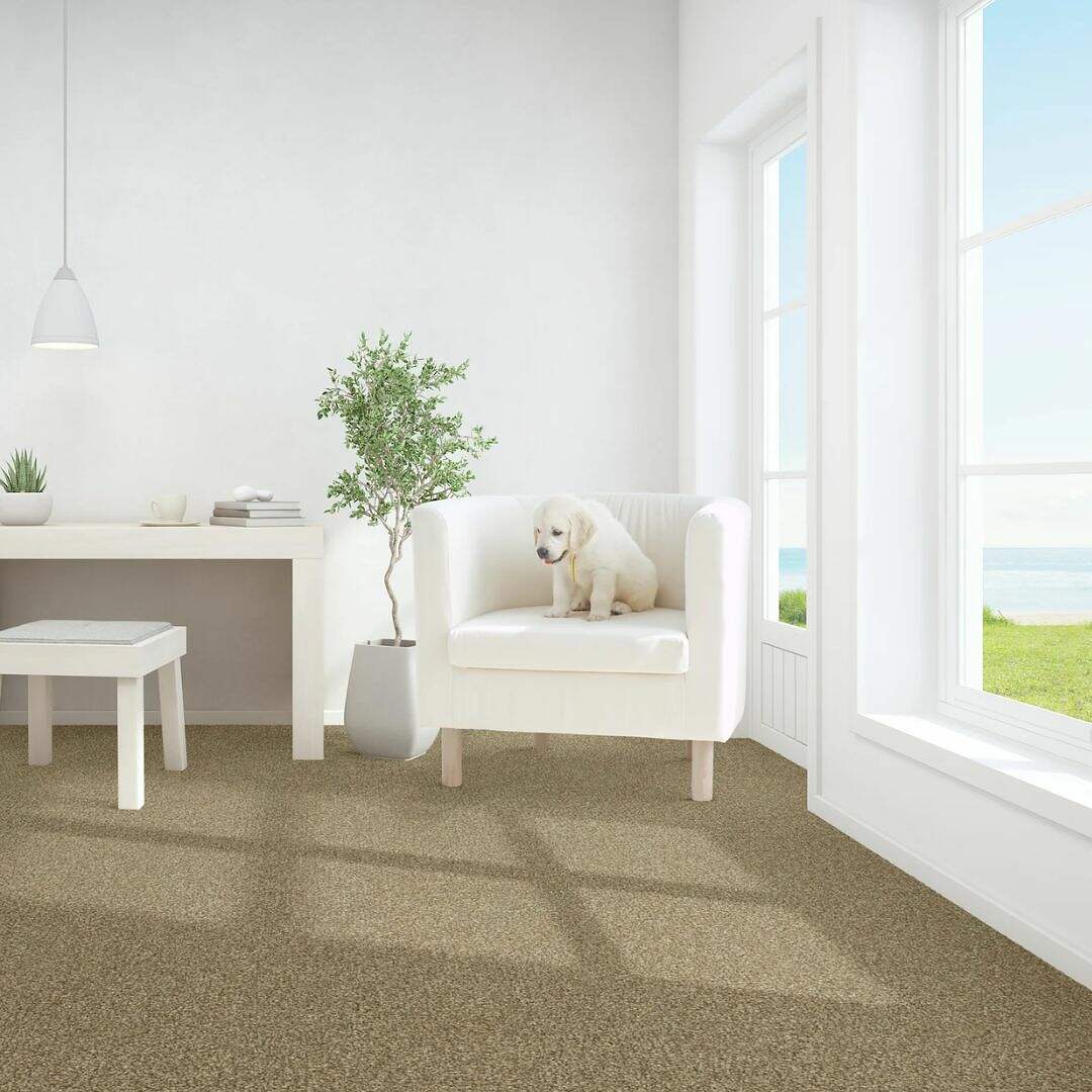 A serene living space flooded with natural light featuring a plush white couch on which a cozy Greyhound-Pyrenees dog rests, beside a small indoor tree, with a minimalist white stool and desk by